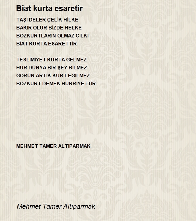 Mehmet Tamer Altıparmak