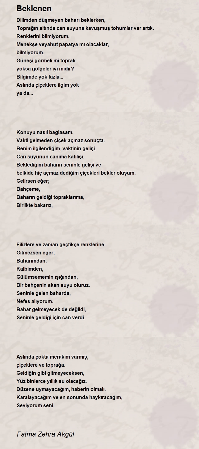 Fatma Zehra Akgül