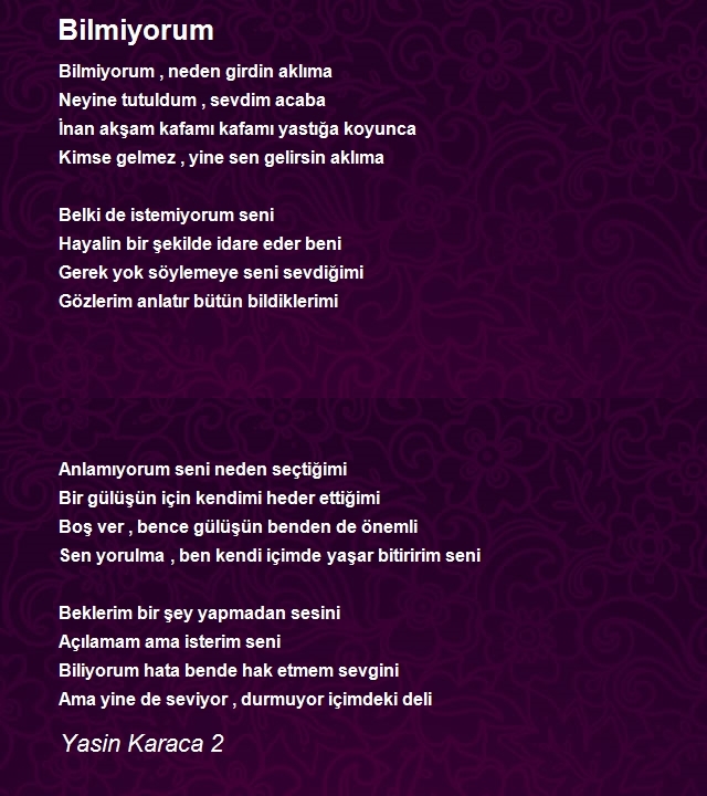 Yasin Karaca 2