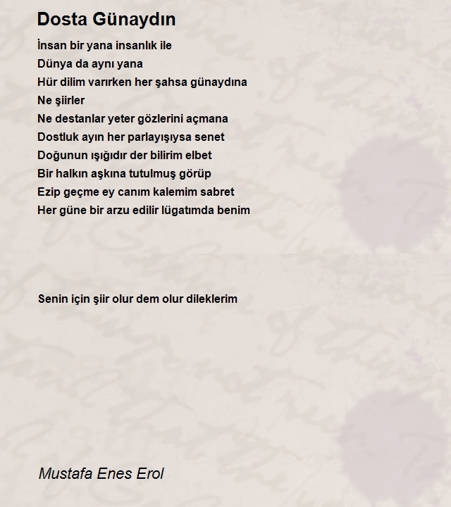 Mustafa Enes Erol