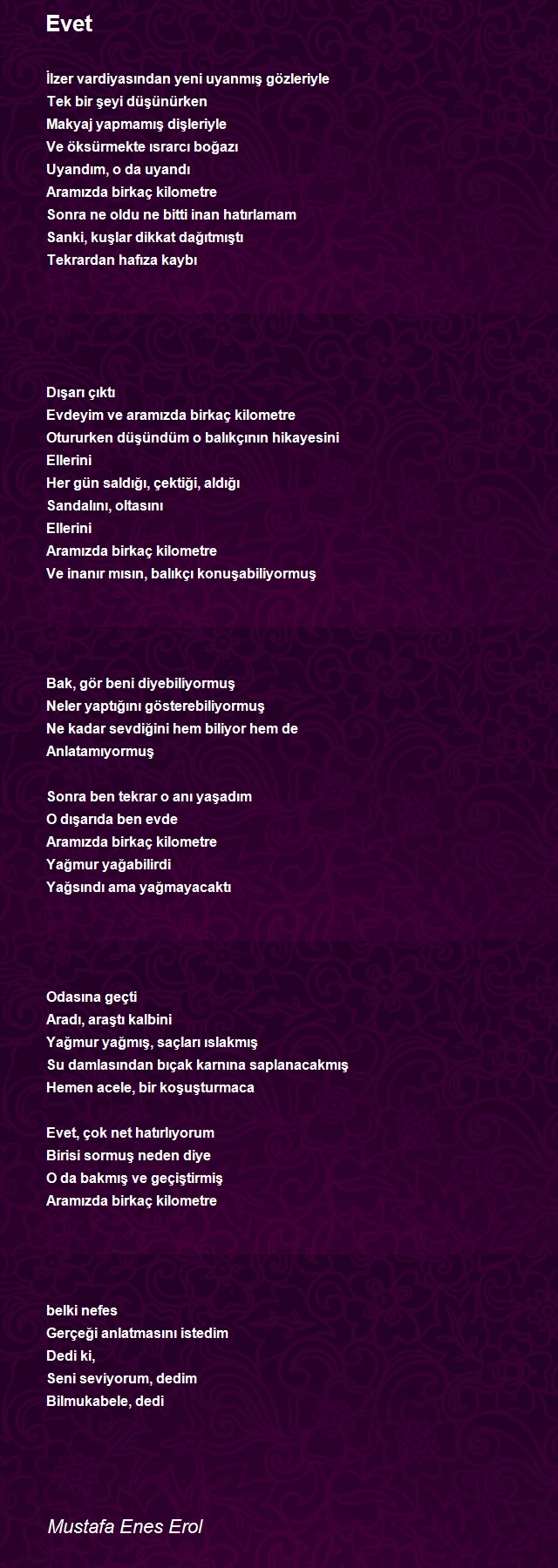 Mustafa Enes Erol
