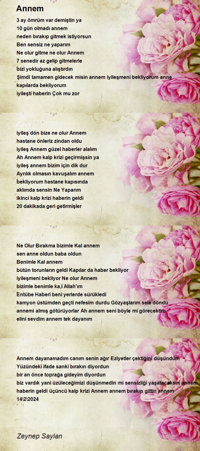 Zeynep Saylan Ayşe Kuz