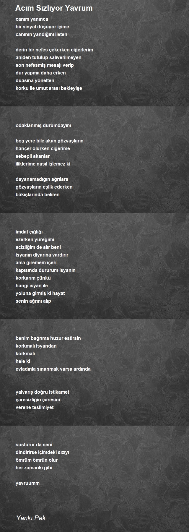 Yankı Pak