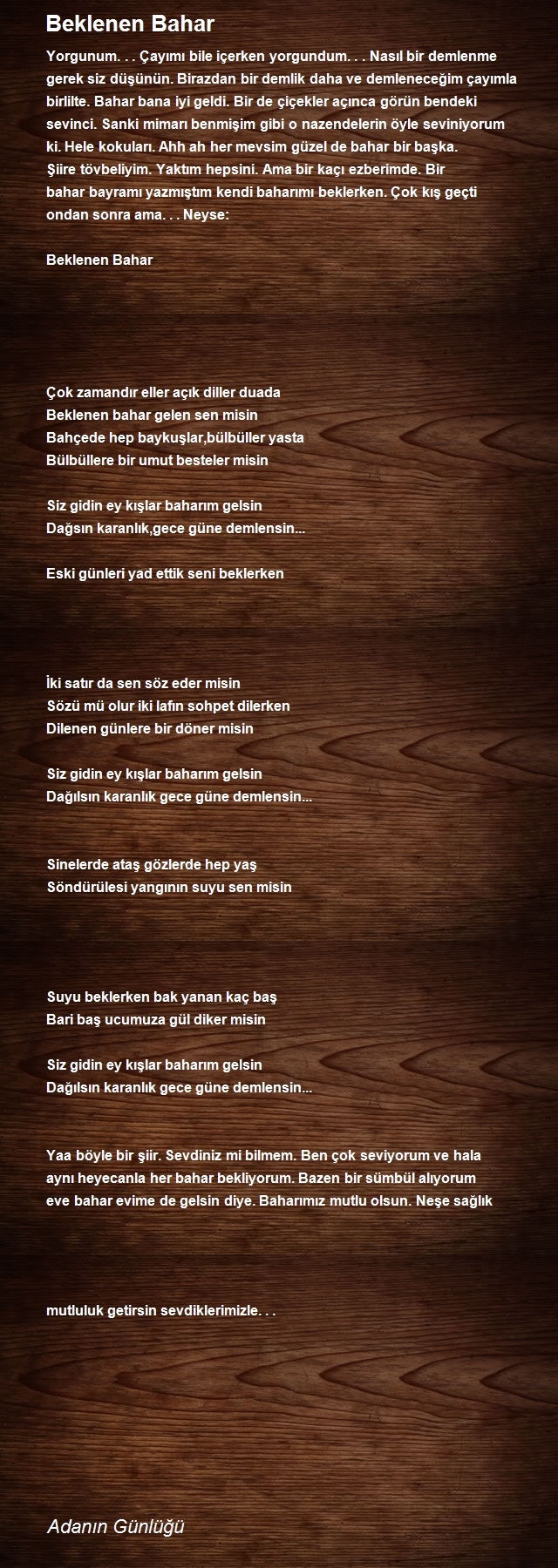 Adanın Günlüğü