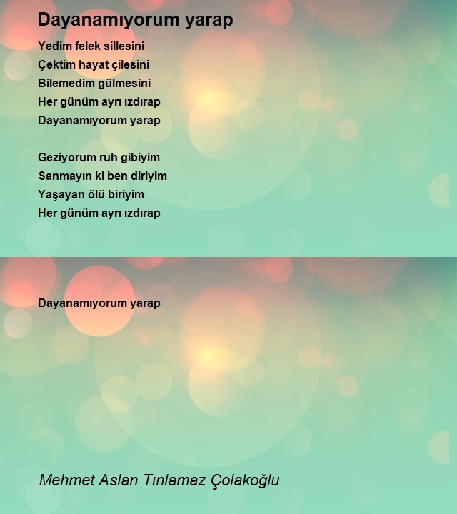 Mehmet Aslan Tınlamaz Çolakoğlu