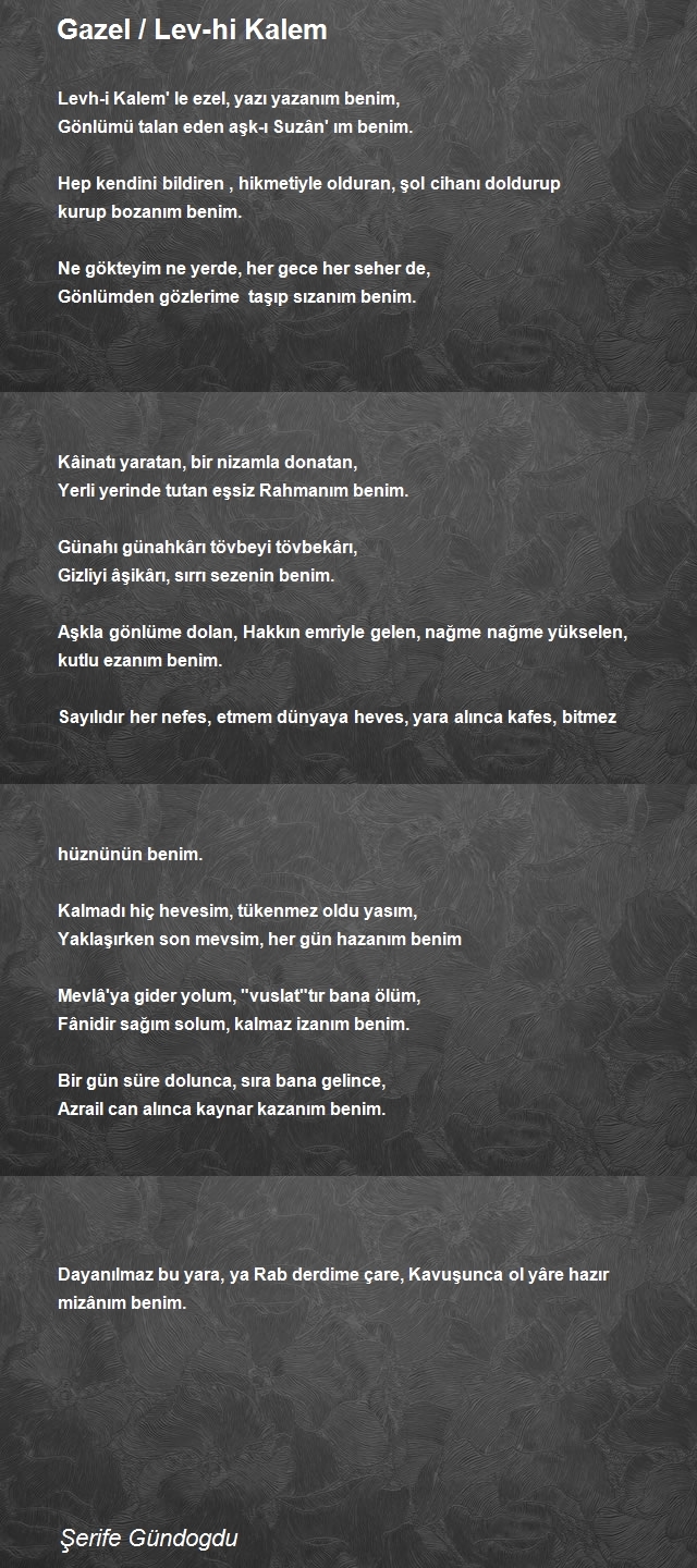 Şerife Gündogdu