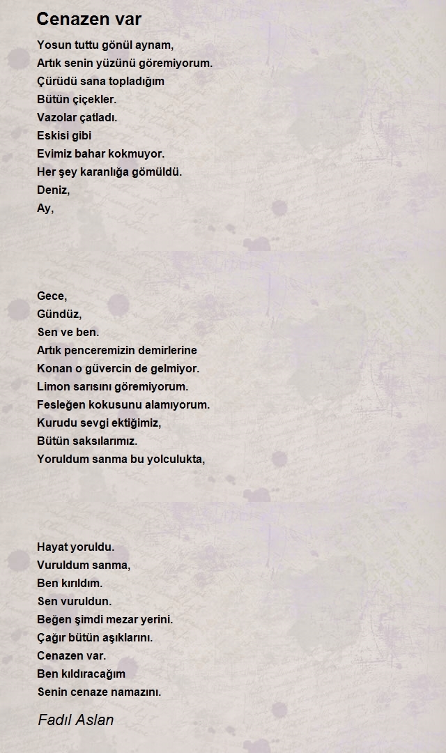 Fadıl Aslan