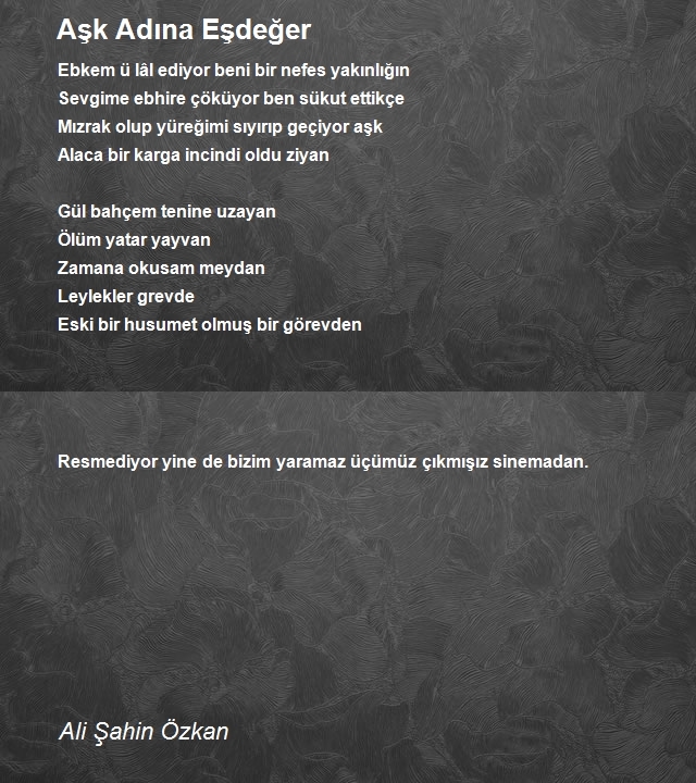 Ali Şahin Özkan
