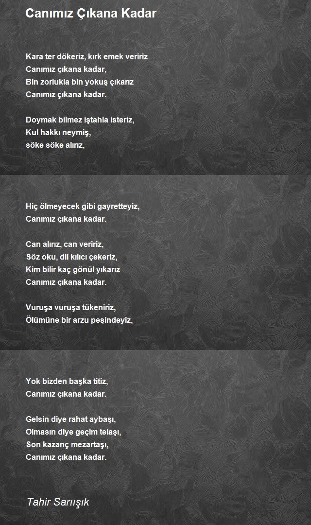 Tahir Sarıışık