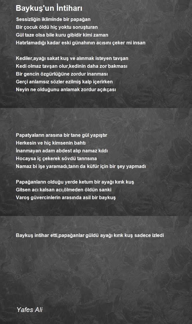 Yafes Ali
