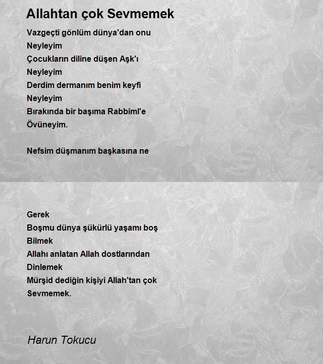 Harun Tokucu