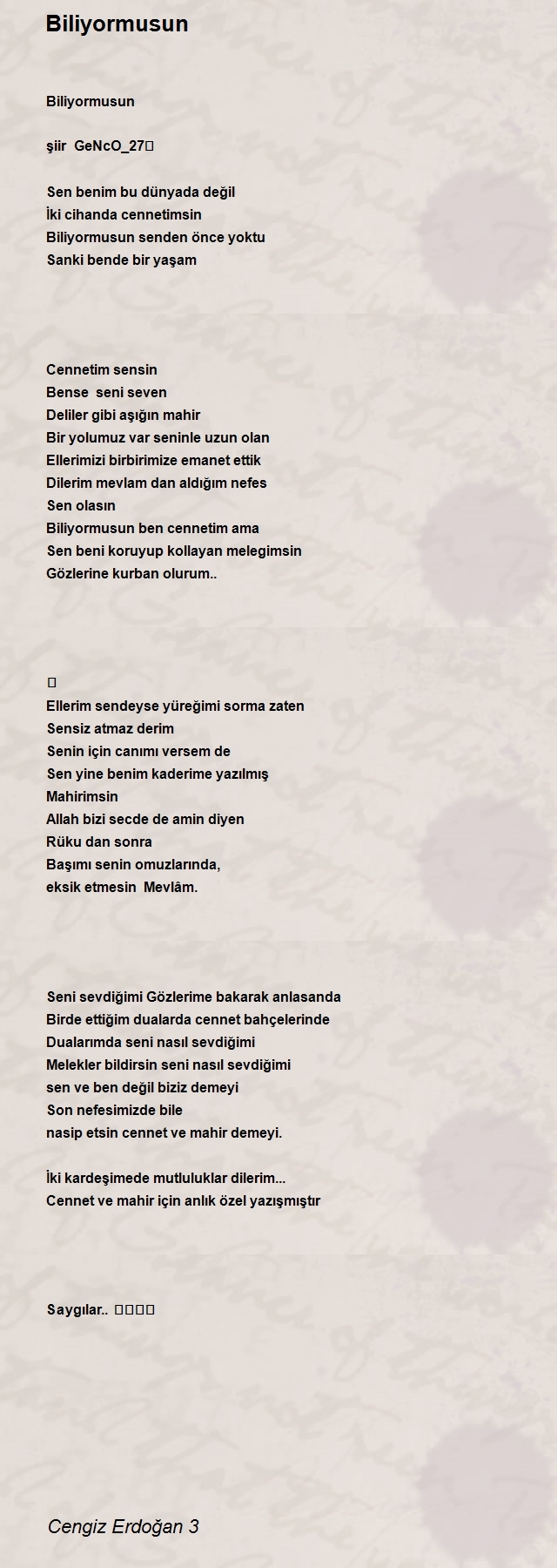 Cengiz Erdoğan 3
