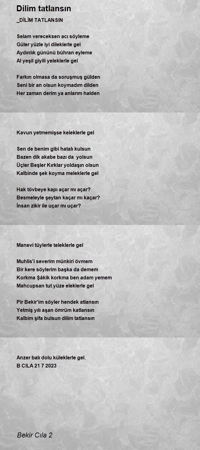 Bekir Cıla 2