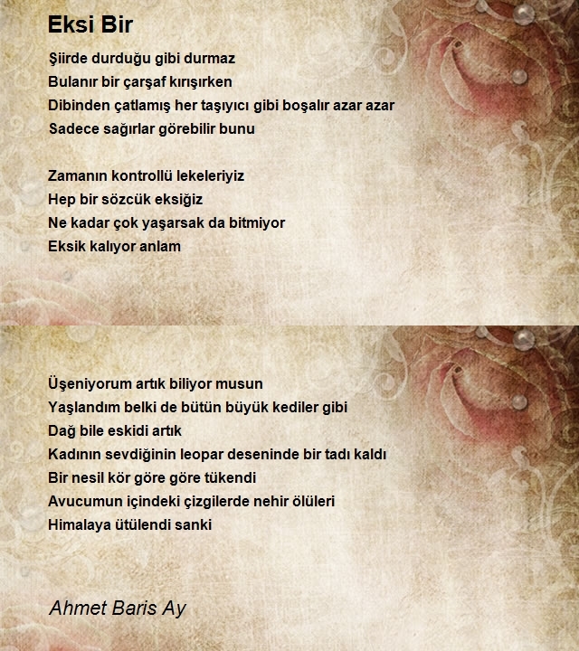 Ahmet Baris Ay