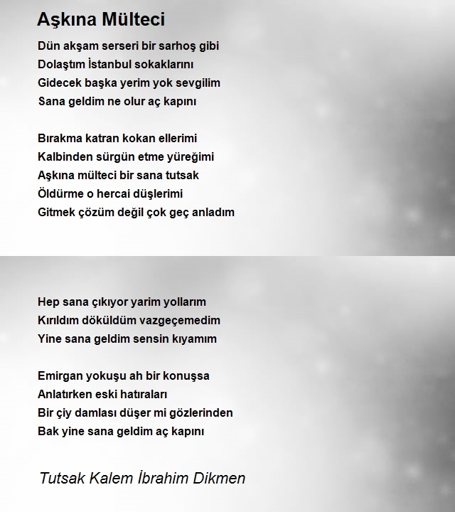 İbrahim Dikmen 2