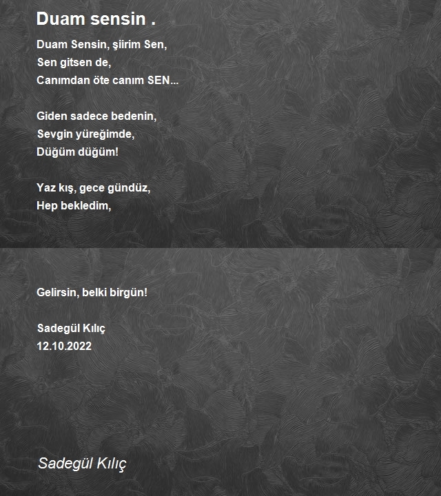 Cahil Şaire