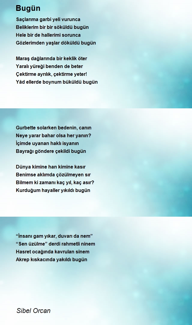 Sibel Orcan