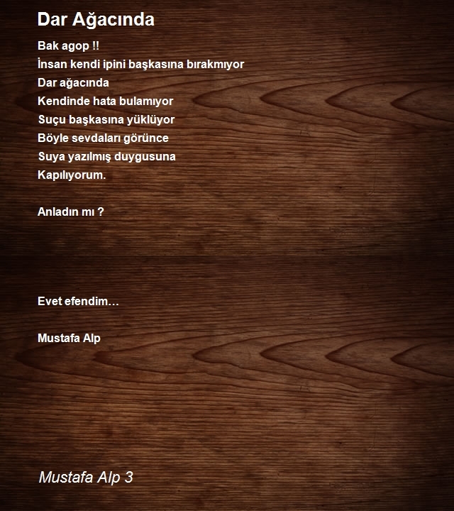 Mustafa Alp 3