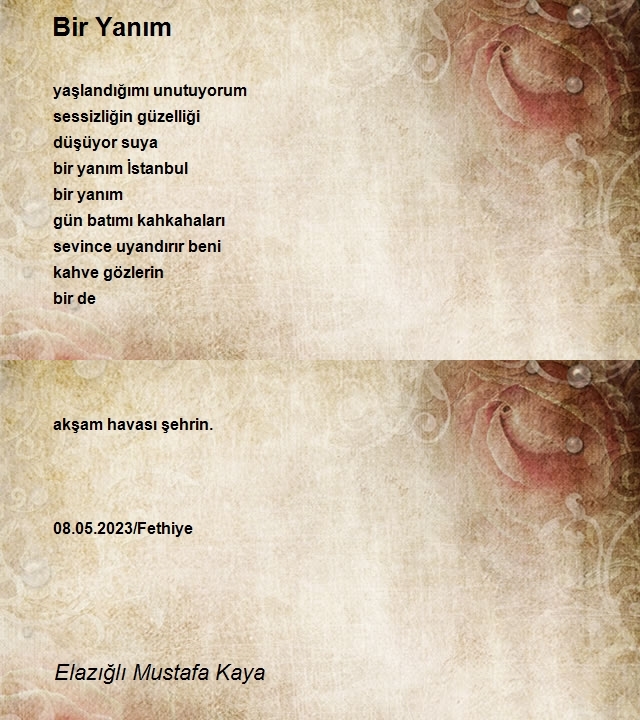 Elazığlı Mustafa Kaya