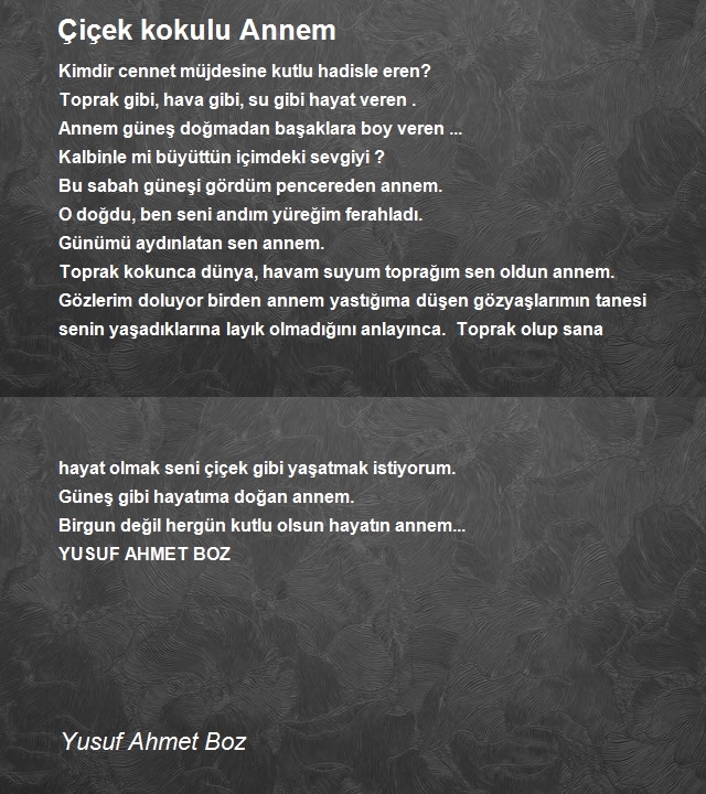 Yusuf Ahmet Boz