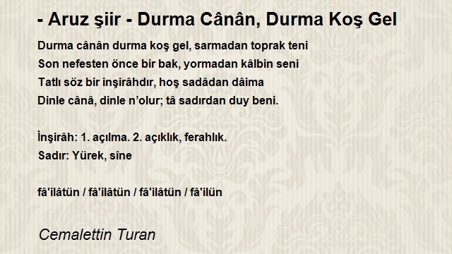 Cemalettin Turan