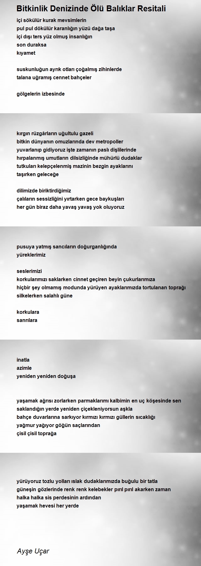 Ayşe Uçar