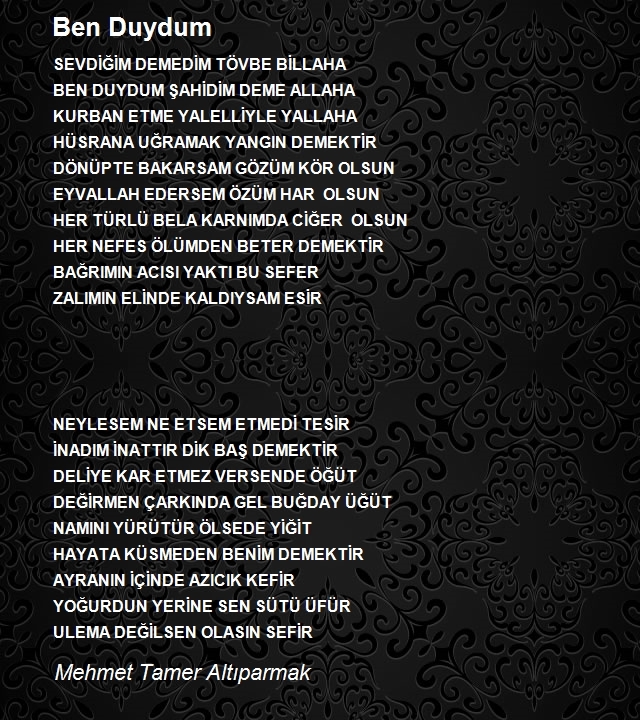 Mehmet Tamer Altıparmak