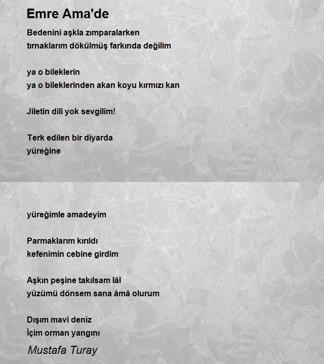 Mustafa Turay