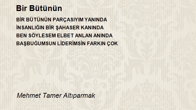 Mehmet Tamer Altıparmak