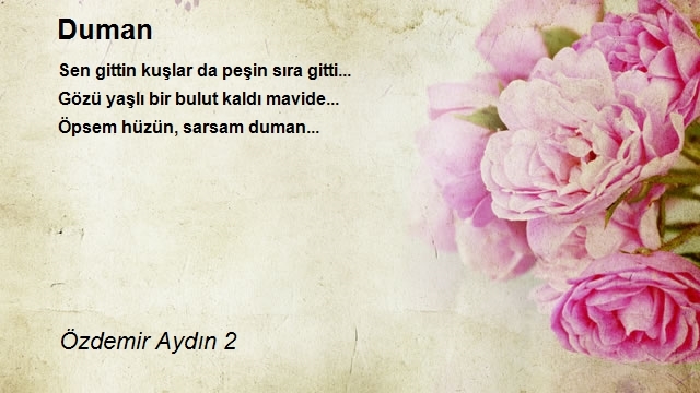 Özdemir Aydın 2