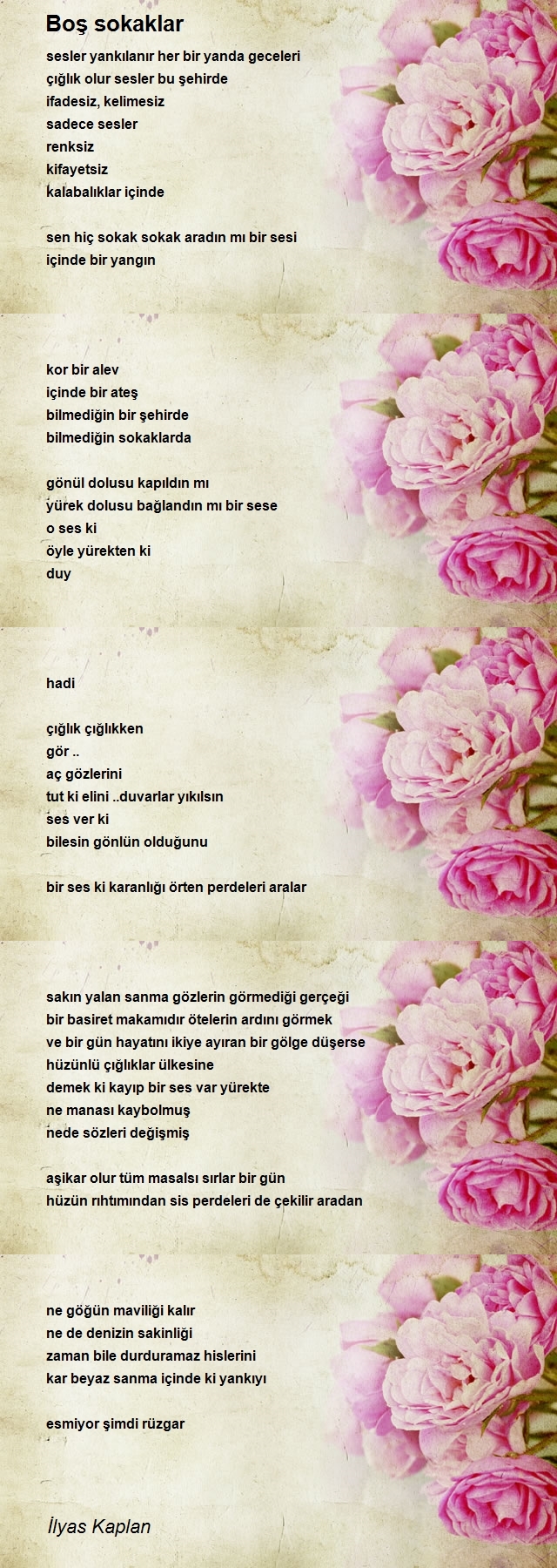 İlyas Kaplan
