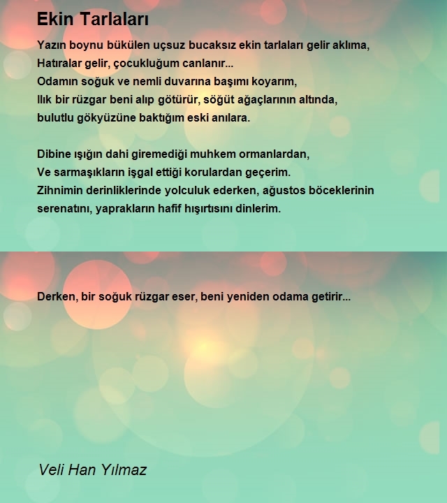 Veli Han Yılmaz