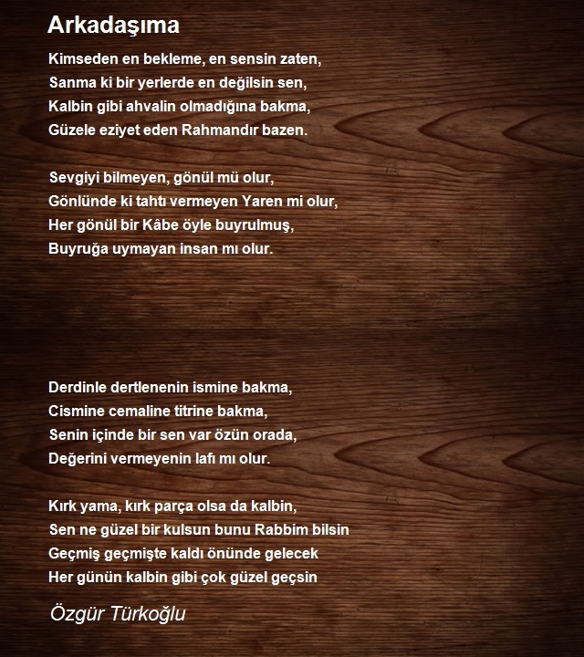 Özgür Türkoğlu