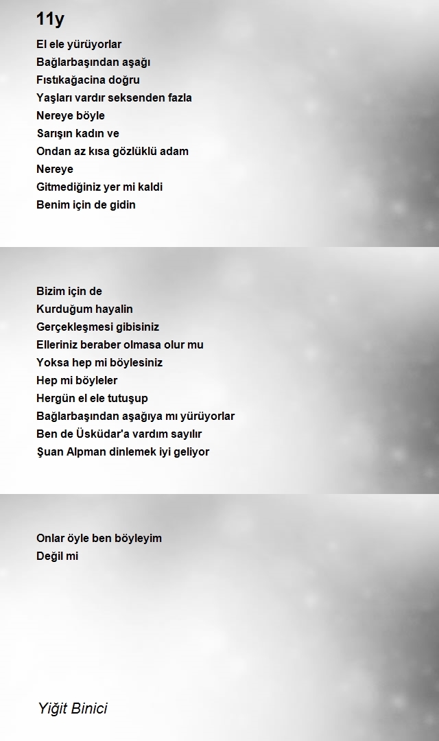 Yiğit Binici