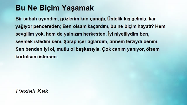 Fantalıpepsili Kek