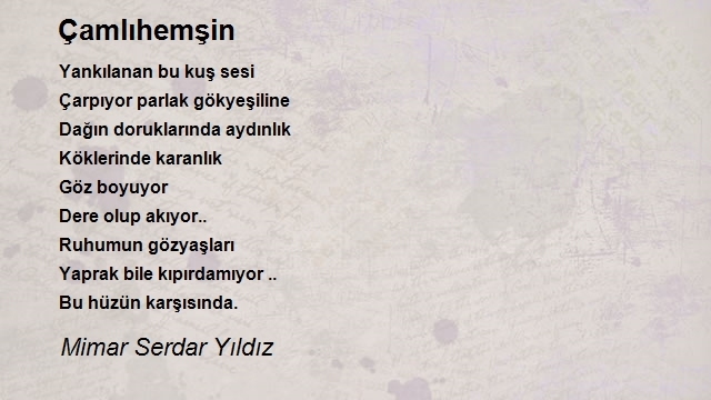 Mimar Serdar Yıldız