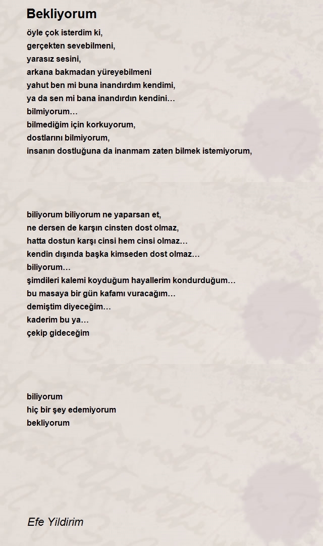 Efe Yildirim