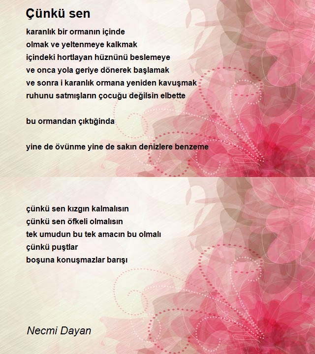 Necmi Dayan