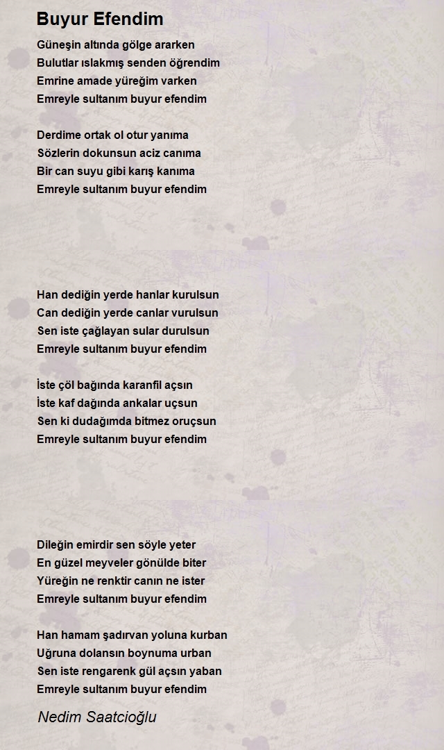 Nedim Saatcioğlu