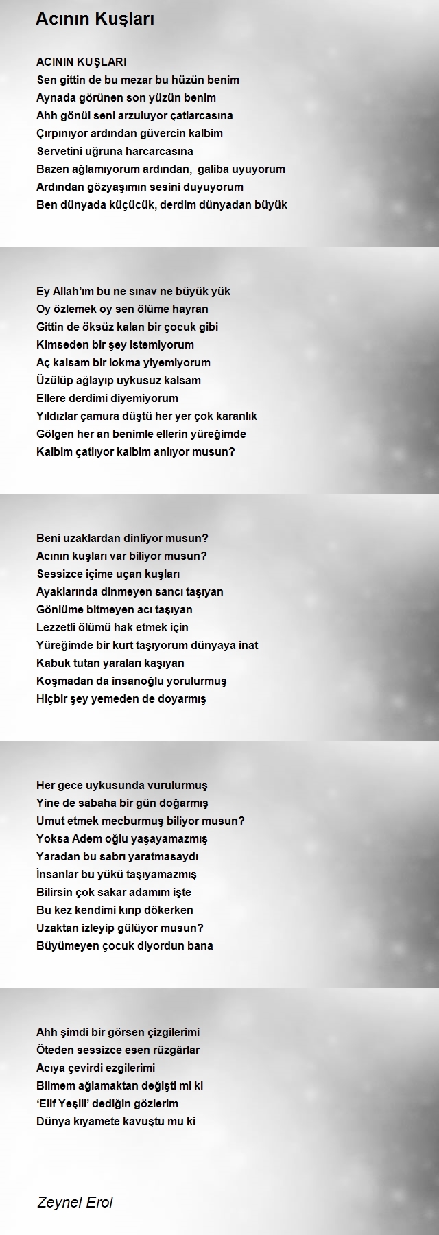 Zeynel Erol