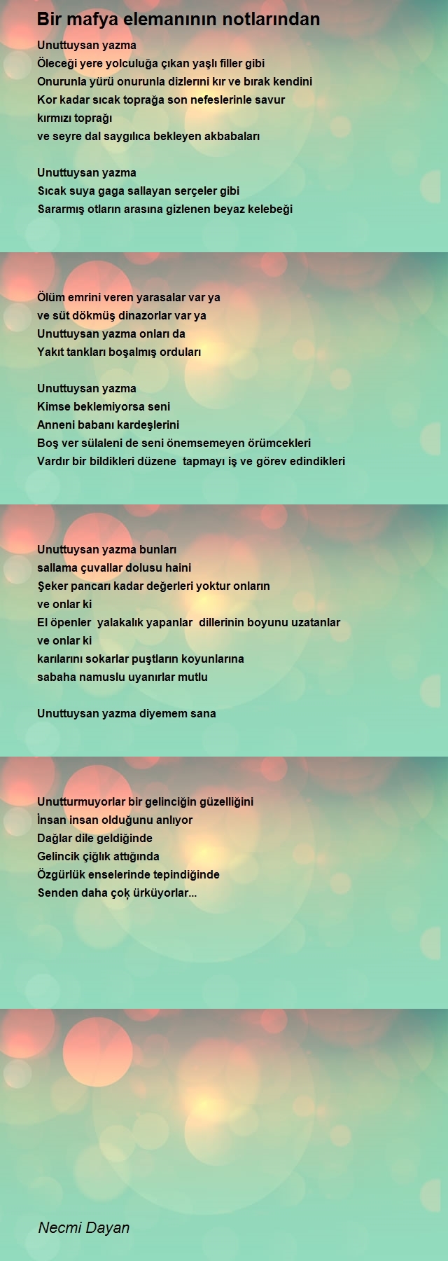 Necmi Dayan