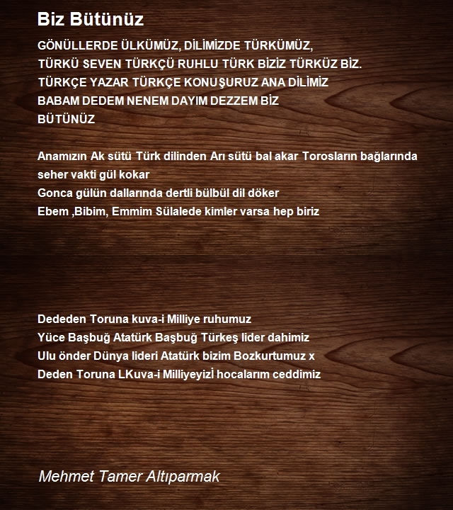 Mehmet Tamer Altıparmak