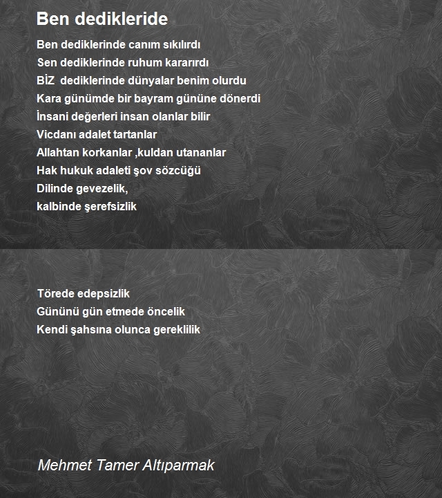 Mehmet Tamer Altıparmak