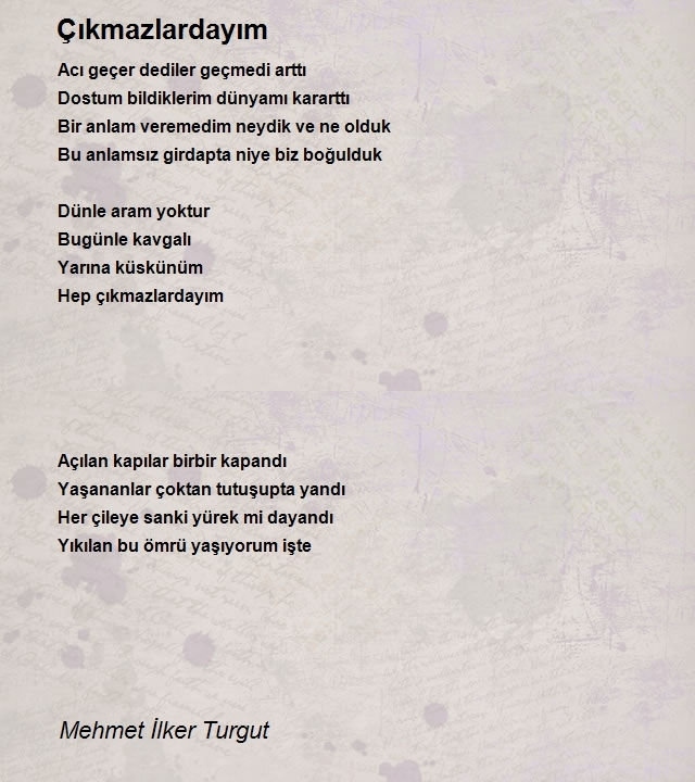 Mehmet İlker Turgut