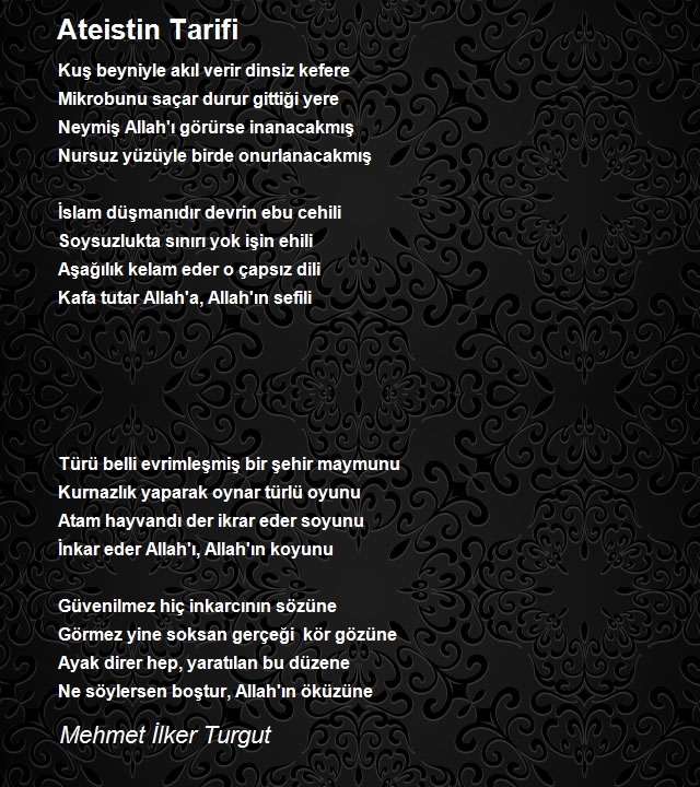 Mehmet İlker Turgut