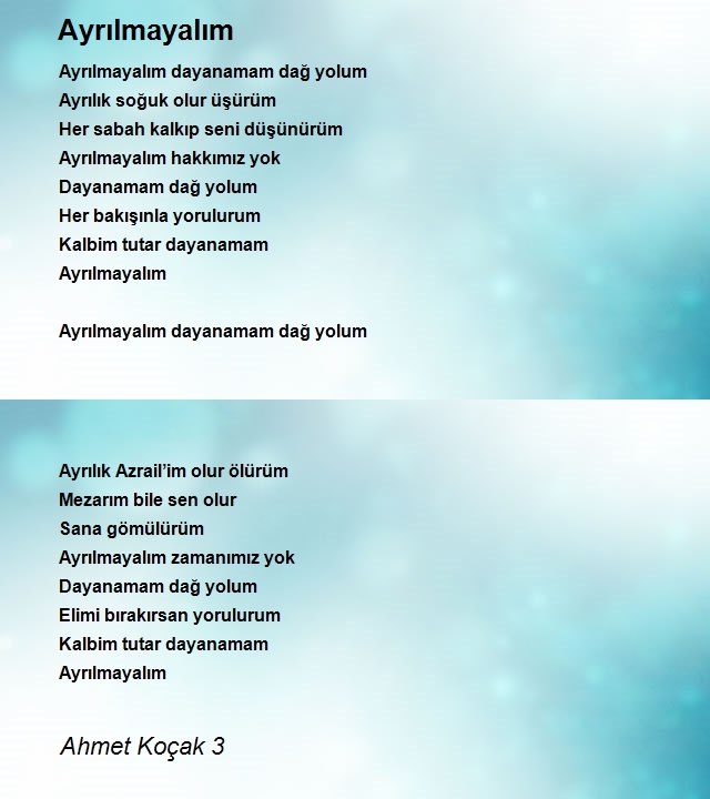 Ahmet Koçak 3