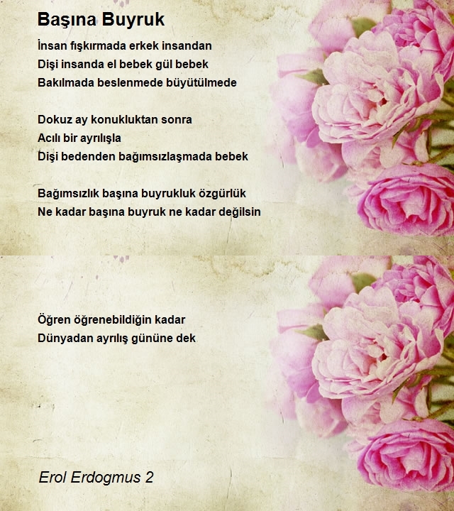 Erol Erdogmus 2