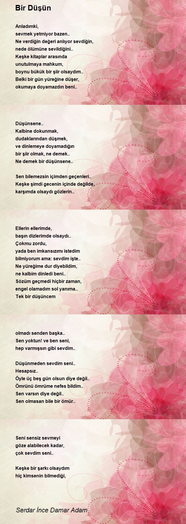 Serdar İnce Damar Adam