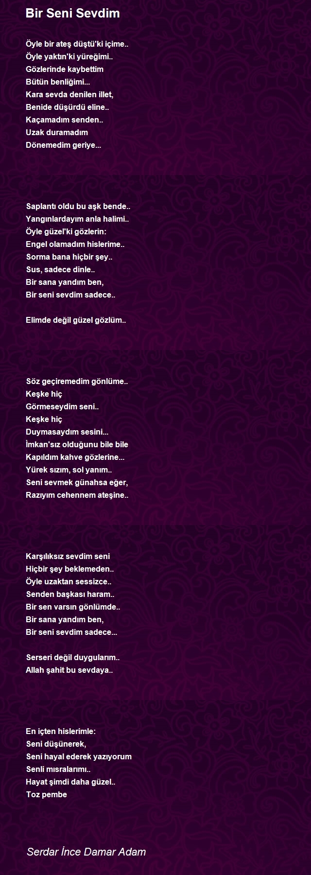 Damar Adam Serdar İnce