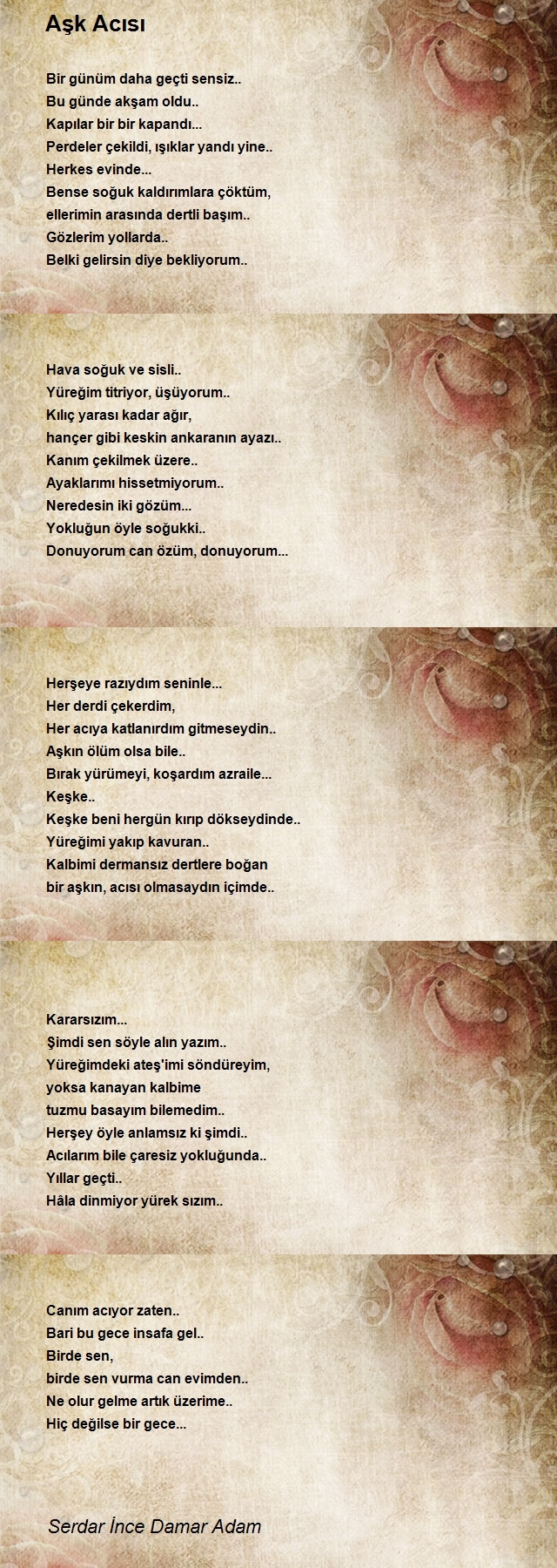 Damar Adam Serdar İnce